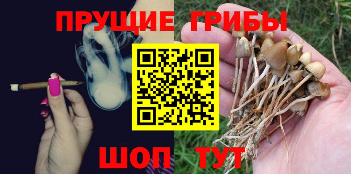 Псилоцибиновые грибы MAGIC MUSHROOMS  Вход с VPN  Трёхгорный 