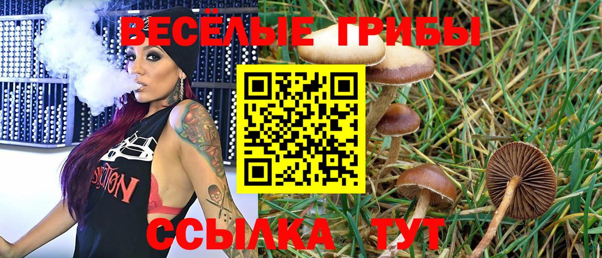 Псилоцибиновые грибы мицелий Трёхгорный